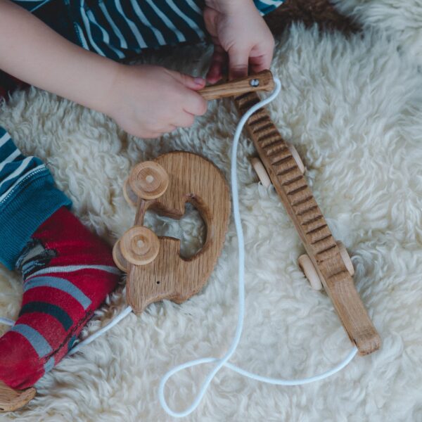 Musikk pinnsvin Pelle